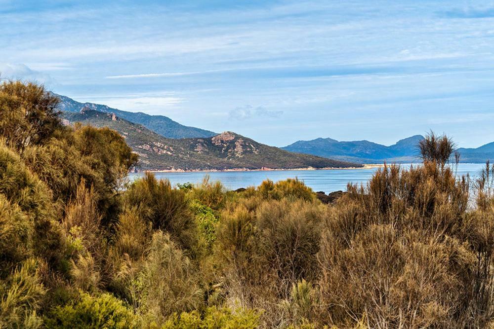 Villa Freycinet Dream Coles Bay Exterior foto